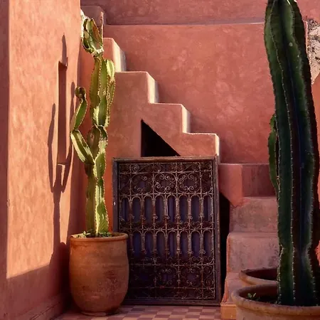 Vibrant Medina Loft And Roof Top Marrakesh Exterior photo